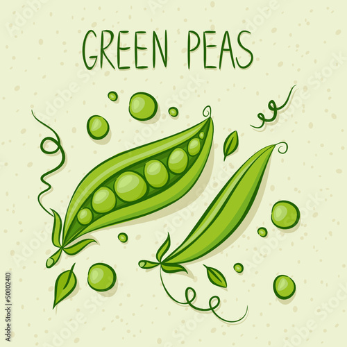 Green Peas. Vector illustration