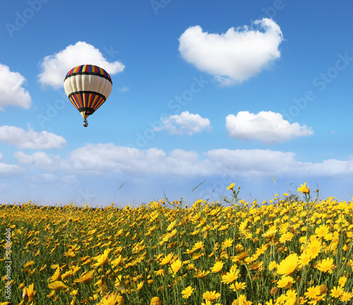 Over the blossoming field of flying a balloon