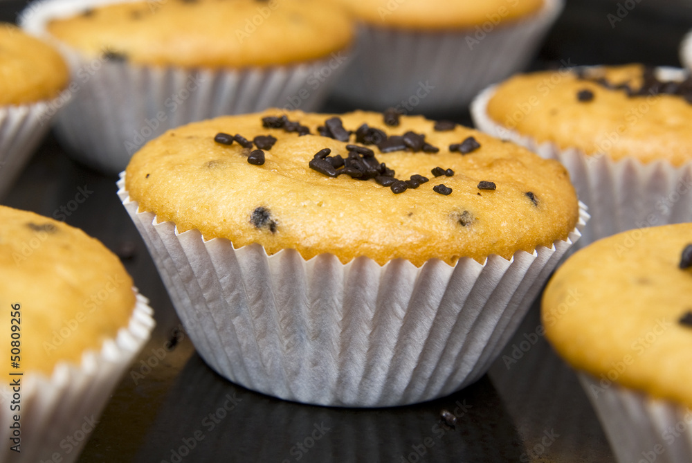 Freshly baked muffins in cups topped with chocolate . Freshly baked muffins in cups topped with chocolate .