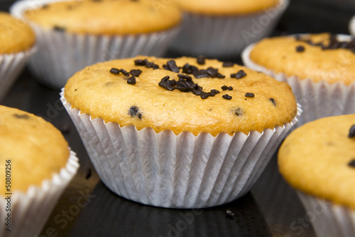 Freshly baked muffins in cups topped with chocolate .