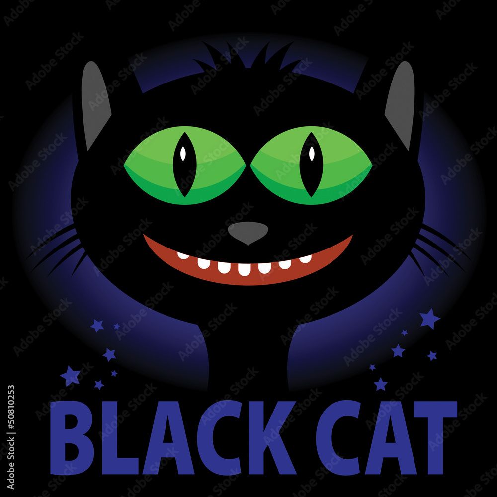 Happy smiling black cat in night, vector illustration Happy smiling black cat in night, vector illustration
