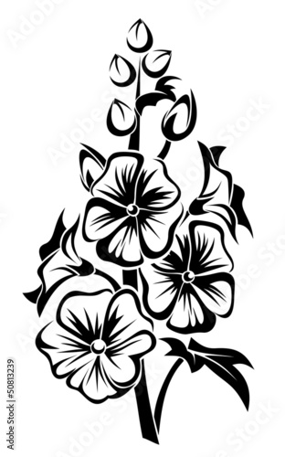 Black silhouette of mallow flowers. Vector illustration. #50813239