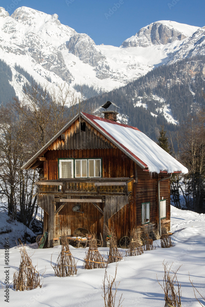 Holzhütte in den Alpen