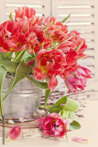 Fototapeta Naklejka Na Ścianę i Meble -  Tulip flowers