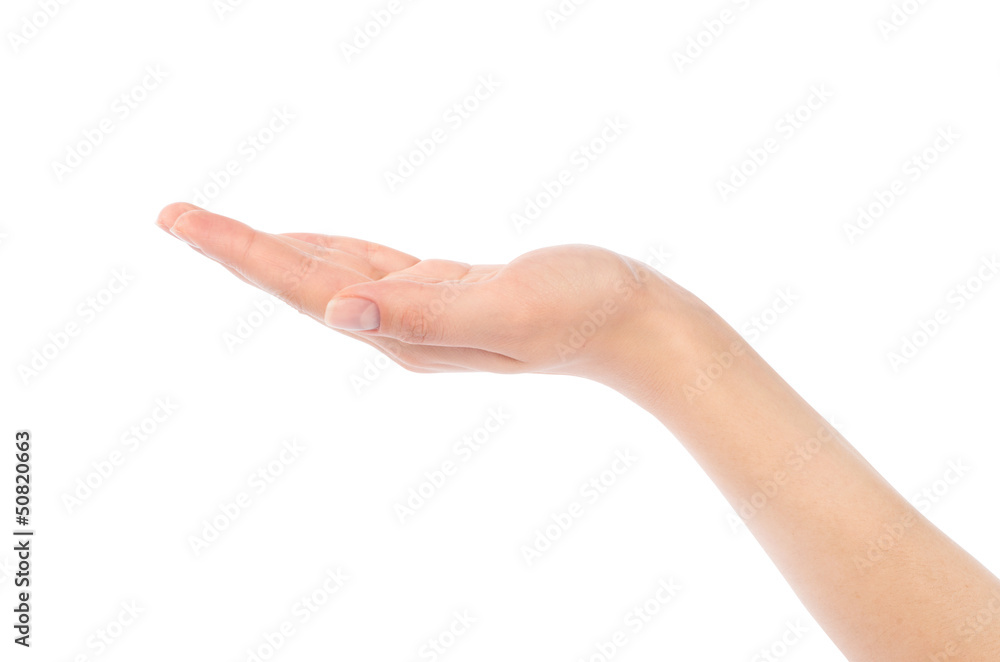 Close-up of beautiful woman's hand, palm up. Close-up of beautiful woman's hand, palm up.