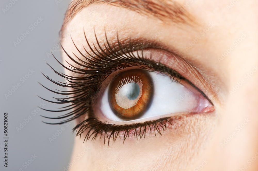 Fototapeta premium woman brown eye with false lashes