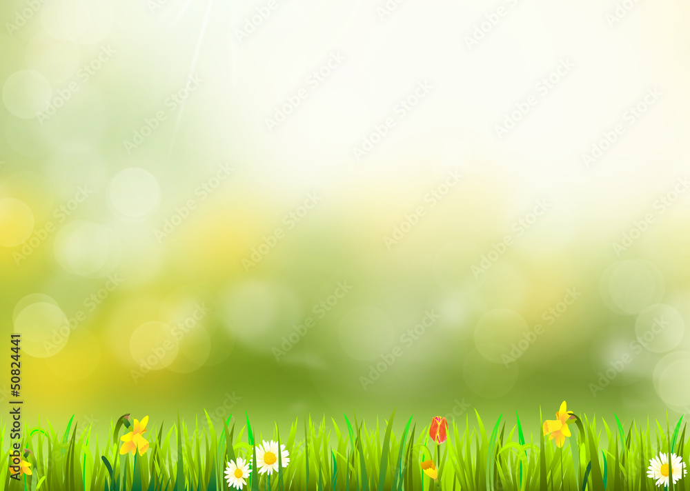 Obraz premium summer day