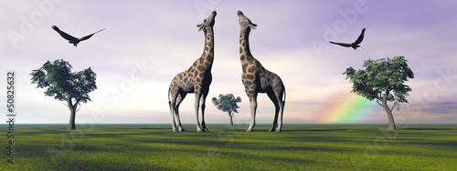 giraffes and birds and trees