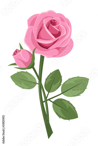 Pink rose with stem isolated on white. Vector illustration.