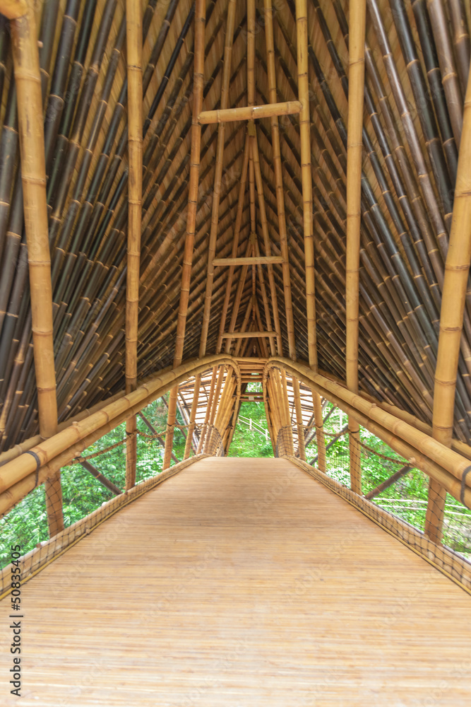 Obraz premium Green school