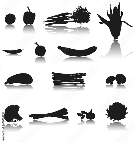 Set of 14 Silhouette vector vegetables with shadow: Tomato, paprika, carrots, chilli, cucumber, onion, corn, mushroom, asparagus, eggplant, garlic, broccoli, leek and artichoke.