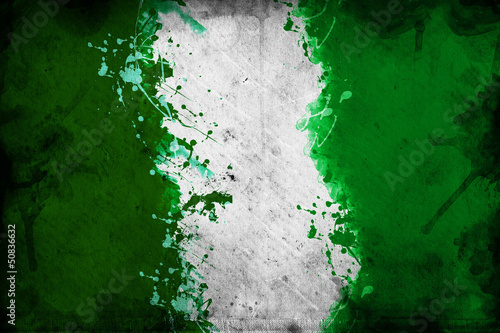Nigerian flag #50836632