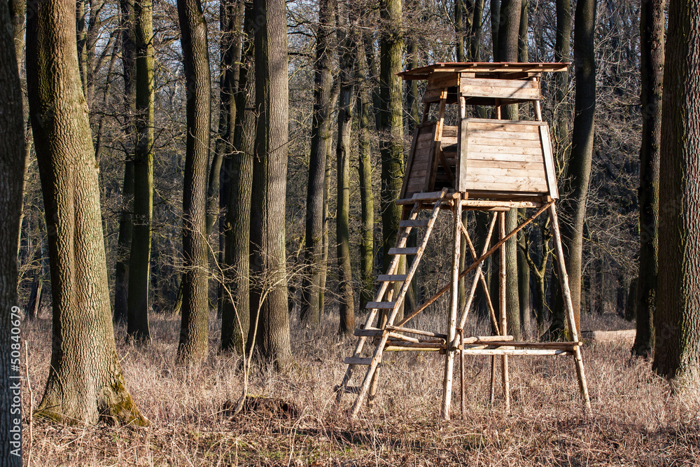 Fototapeta premium high hunting seat