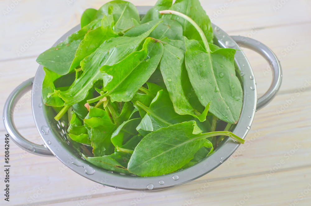 sorrel sorrel
