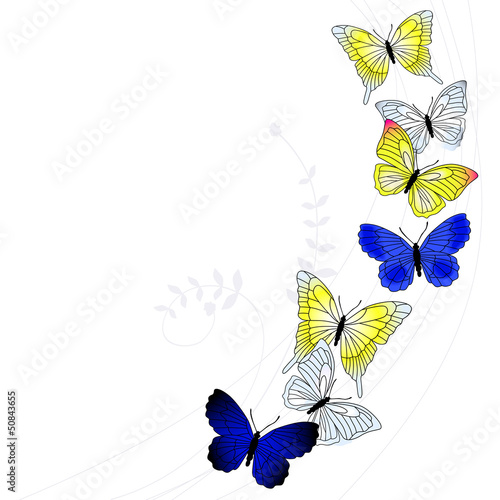 Vector background with a butterfly