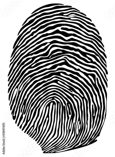 Vector finger print
