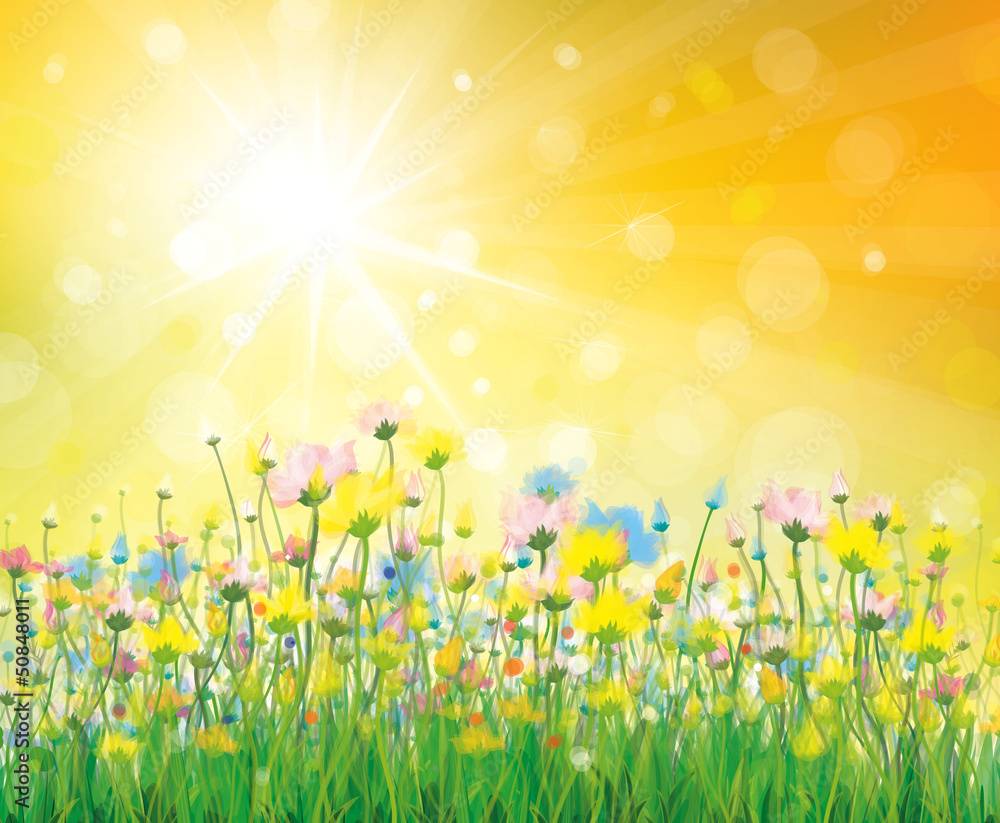 Vector of colorful flowers on sunny background.