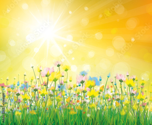 Vector of colorful flowers on sunny background.