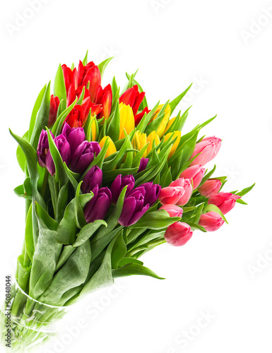 bouquet of fresh multicolor tulips over white