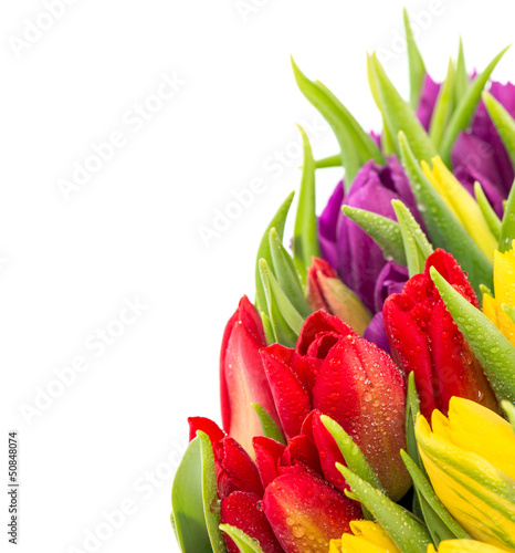 Fototapeta Naklejka Na Ścianę i Meble -  closeup of fresh spring flowers with water drops