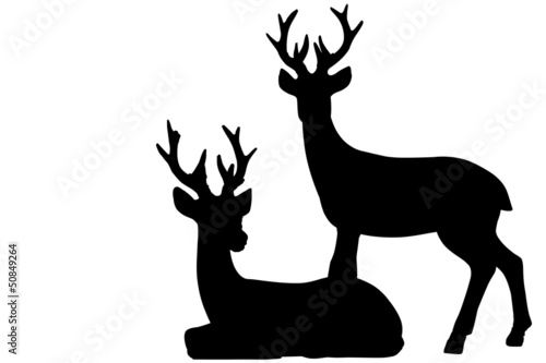 Rehe Jagd Weihnachten