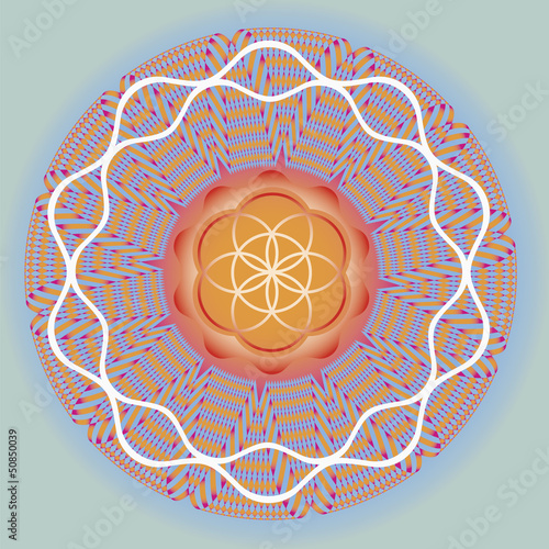 Flower of life seed spring mandala-use for design and meditation