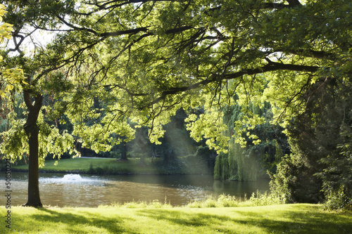 Pond in a park