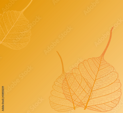 Background with leaves in orange