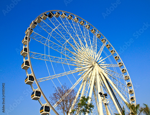 Ferris wheel.