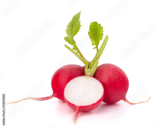 Small garden radish