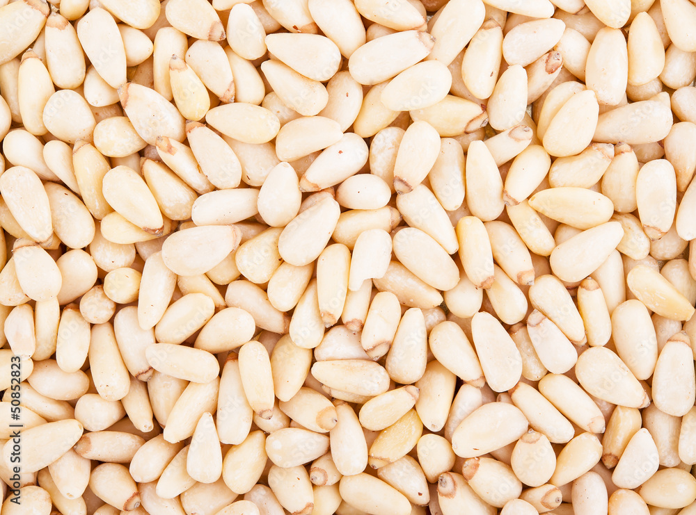Pine nuts dry background with detail closeup Pine nuts dry background with detail closeup