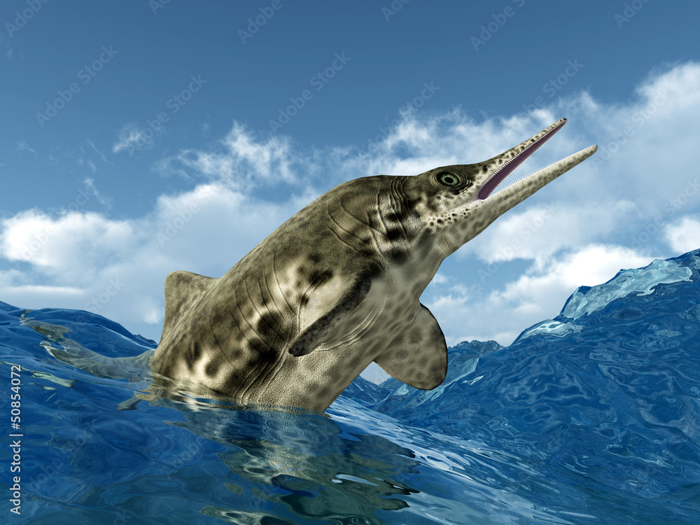 Ichthyosaurier Stenopterygius StockIllustration Adobe Stock