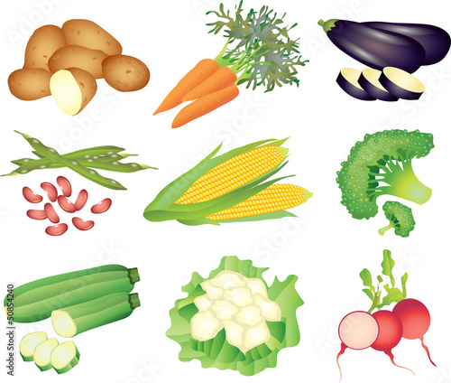vegetables photo-realistic vector set