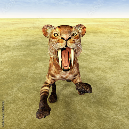 Fototapeta Naklejka Na Ścianę i Meble -  Säbelzahnkatze Smilodon