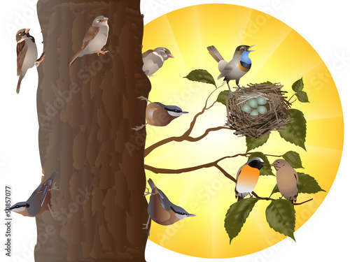 Tree full of birds
