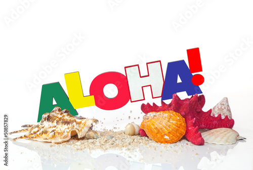 Obraz na płótnie Word