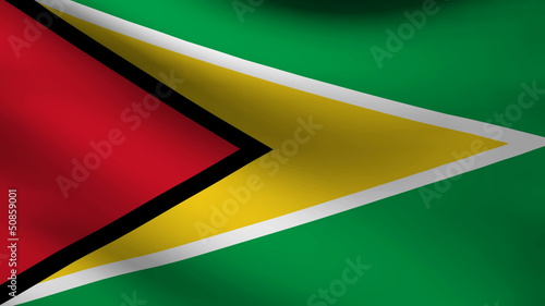Guyana flag. photo