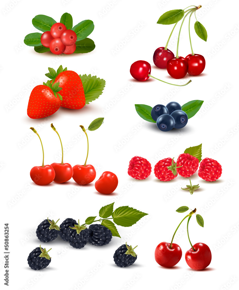 Big group of fresh berries and cherries. Vector illustration. Big group of fresh berries and cherries. Vector illustration.