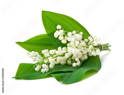 bouquet of lilies of the valley isolated on white background photo