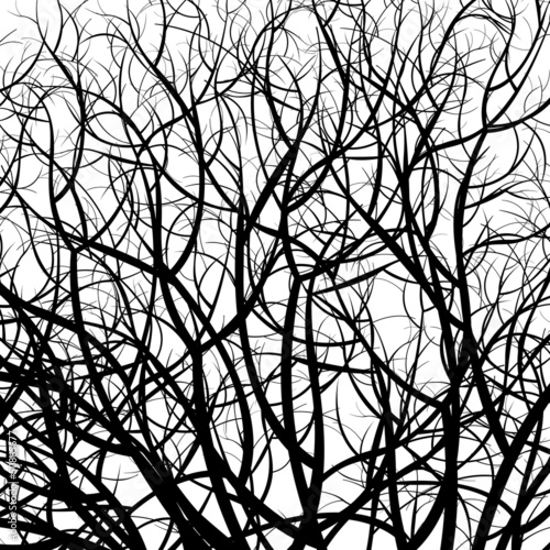 manually drawn tree pattern vector
