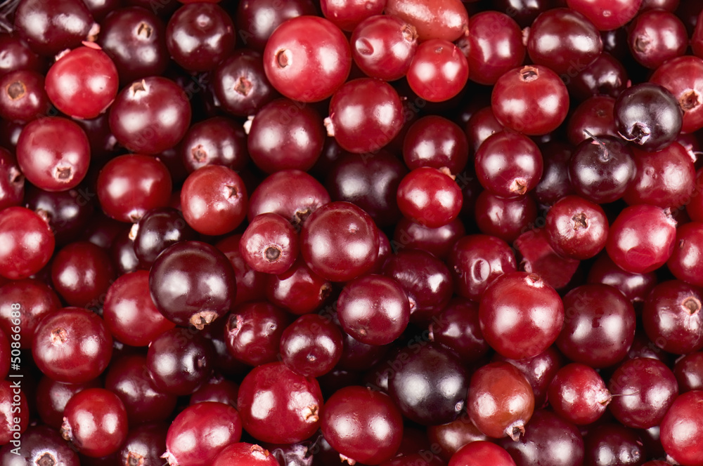 cranberries