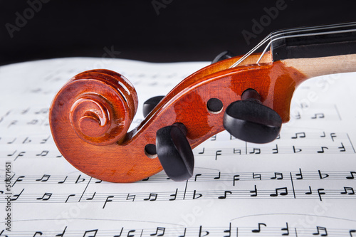 Violin And Musical Notes photo