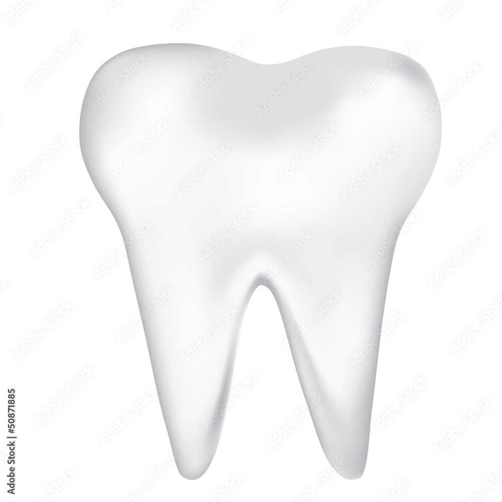 tooth design element. vector mesh illustration tooth design element. vector mesh illustration