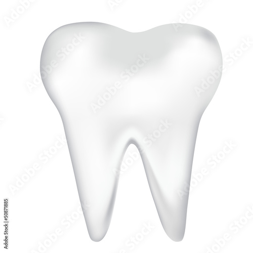 tooth design element. vector mesh illustration