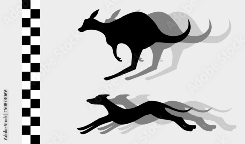 Animal champion sport