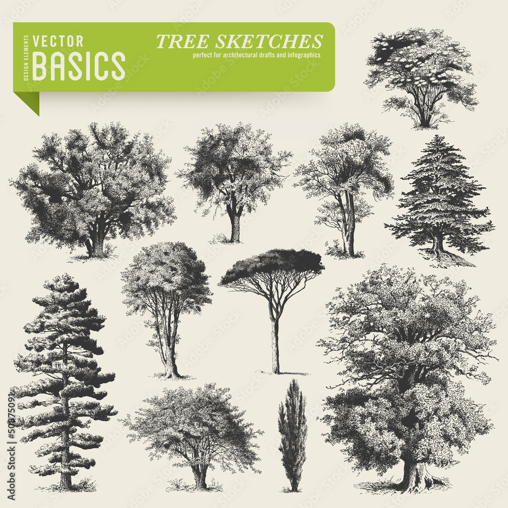 vector elements: tree sketches