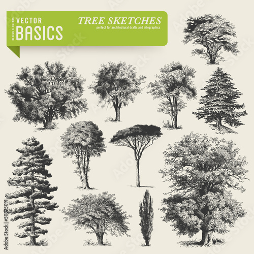 vector elements: tree sketches photo