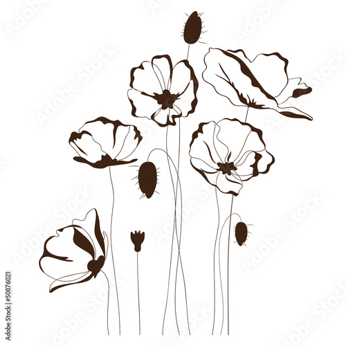 Fototapeta Naklejka Na Ścianę i Meble -  Poppy design, floral background