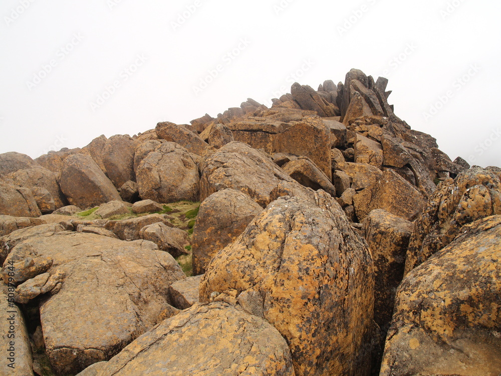 Mount Ossa in Cradle Mountain - Lake St Clair National Park