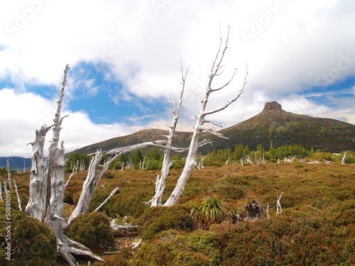 Cradle Mountain - Lake St Clair National Park